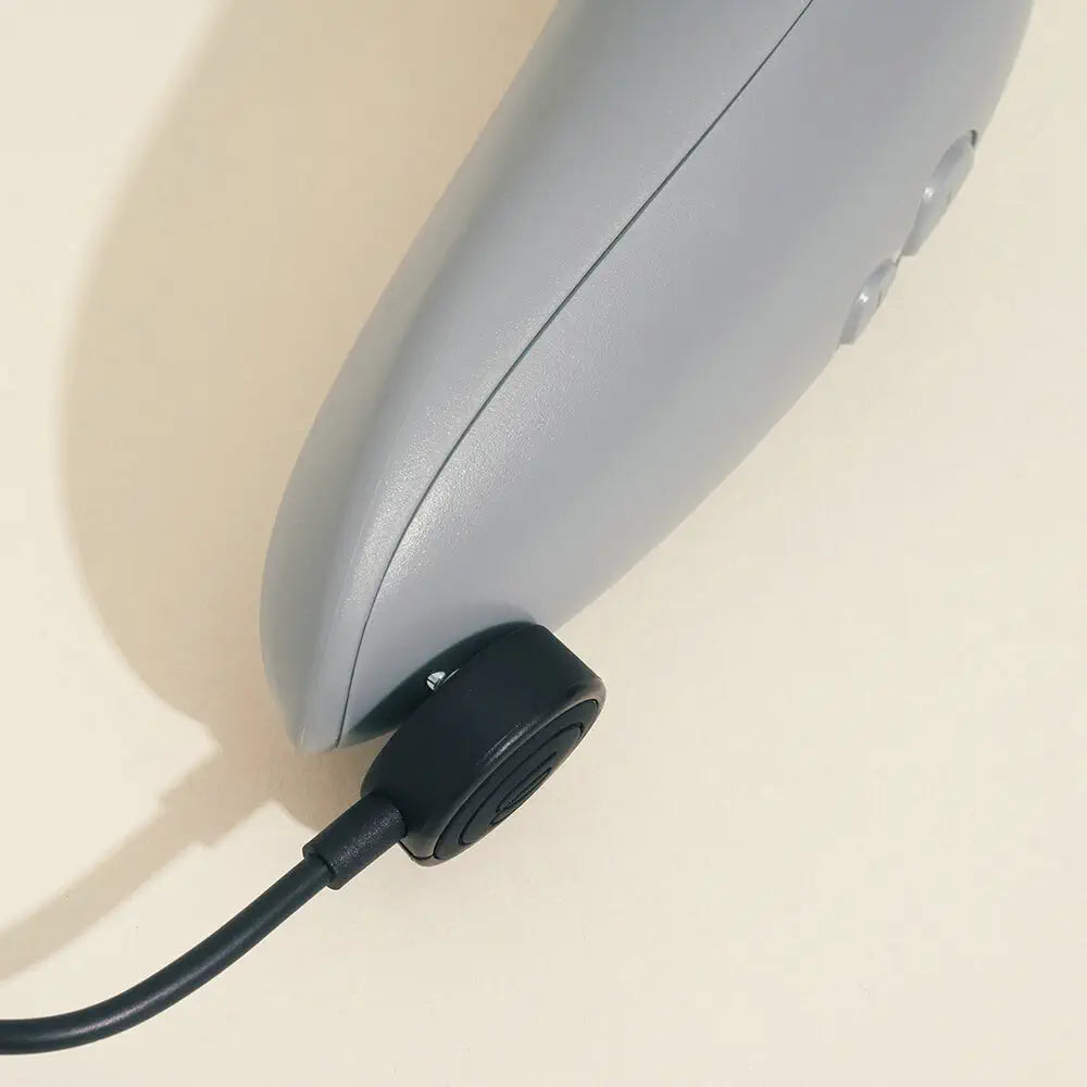 Womanizer Starlet 3 gris