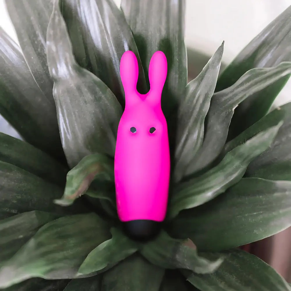 mini vibromasseur Pocket Vibe adrien lastic