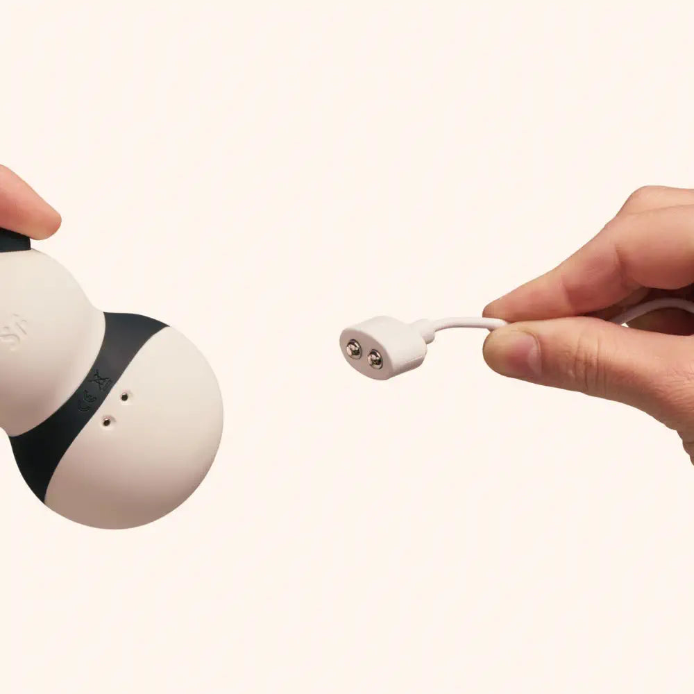 satisfyer pocket panda stimulateur clitoris