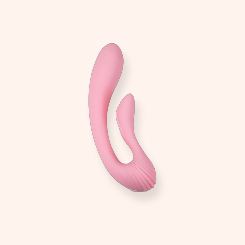 Vibromasseur rabbit Dual Massager Femintimate