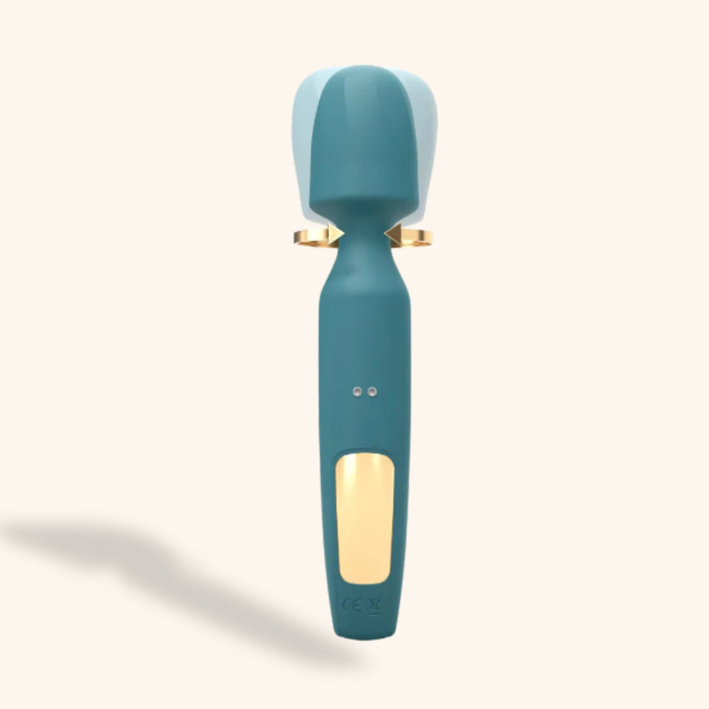 Stimulateur Wand R-evolution love to love